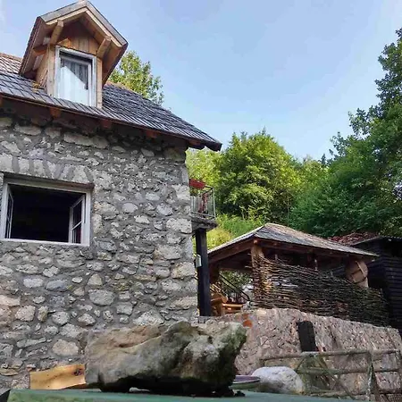 Etno House Old Mill 펜션