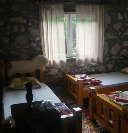 Etno House Old Mill 펜션 *